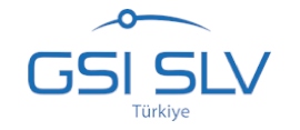 GSI-SLV